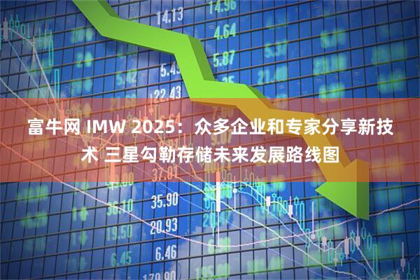 富牛网 IMW 2025：众多企业和专家分享新技术 三星勾勒存储未来发展路线图