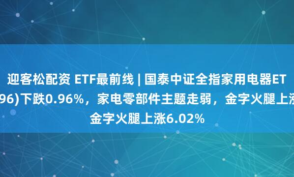 迎客松配资 ETF最前线 | 国泰中证全指家用电器ETF(159996)下跌0.96%，家电零部件主题走弱，金字火腿上涨6.02%