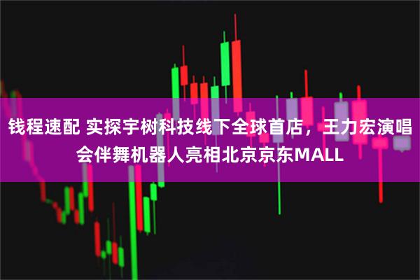 钱程速配 实探宇树科技线下全球首店，王力宏演唱会伴舞机器人亮相北京京东MALL