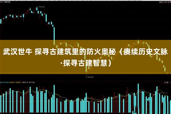 武汉世牛 探寻古建筑里的防火奥秘（赓续历史文脉·探寻古建智慧）
