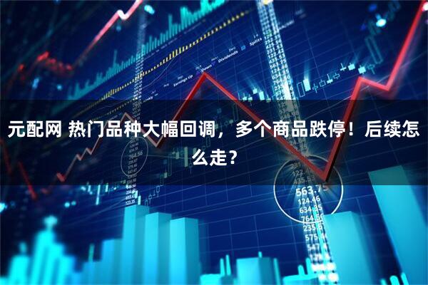 元配网 热门品种大幅回调，多个商品跌停！后续怎么走？